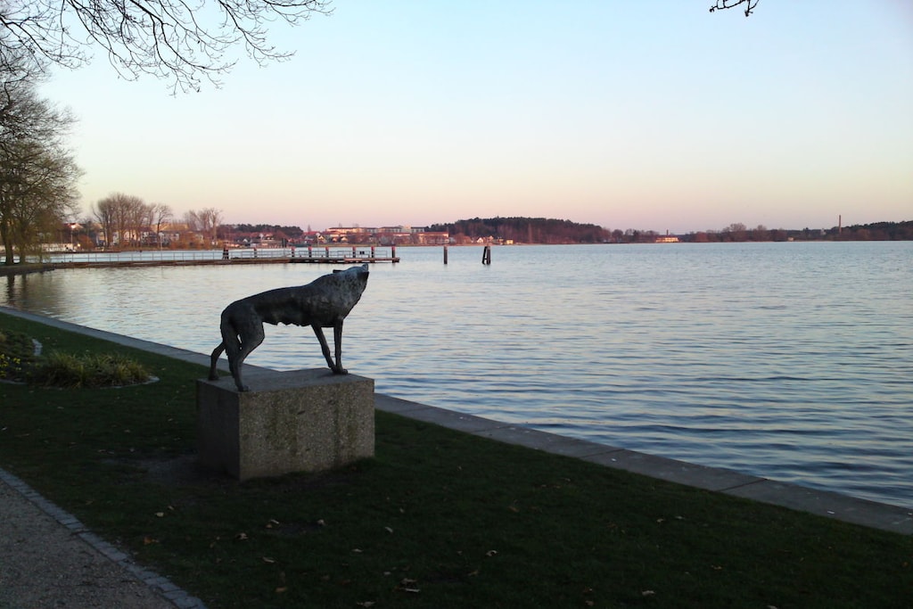 94998 - Niet-getagd
