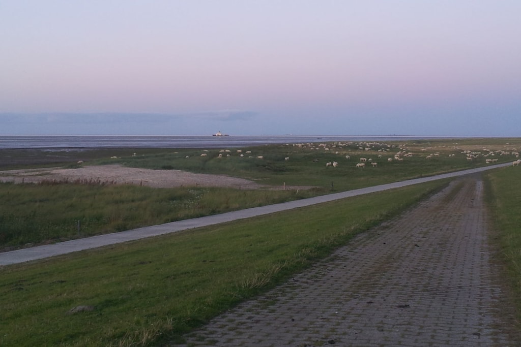 115901 - Niet-getagd