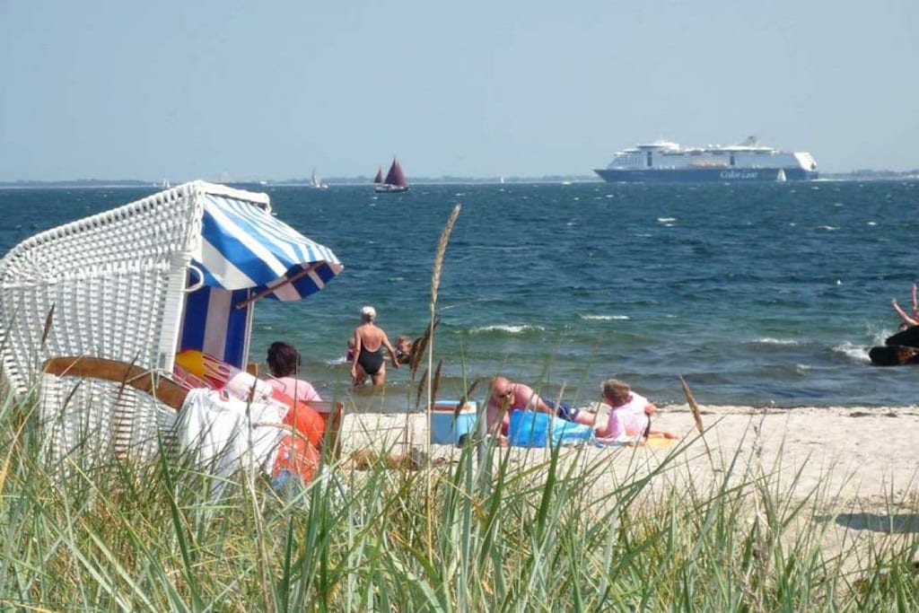 42256 - Niet-getagd