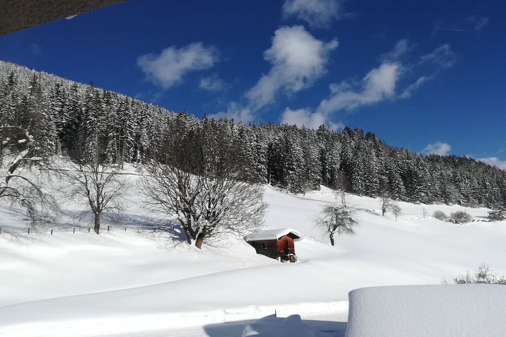 252727 - Non tagué