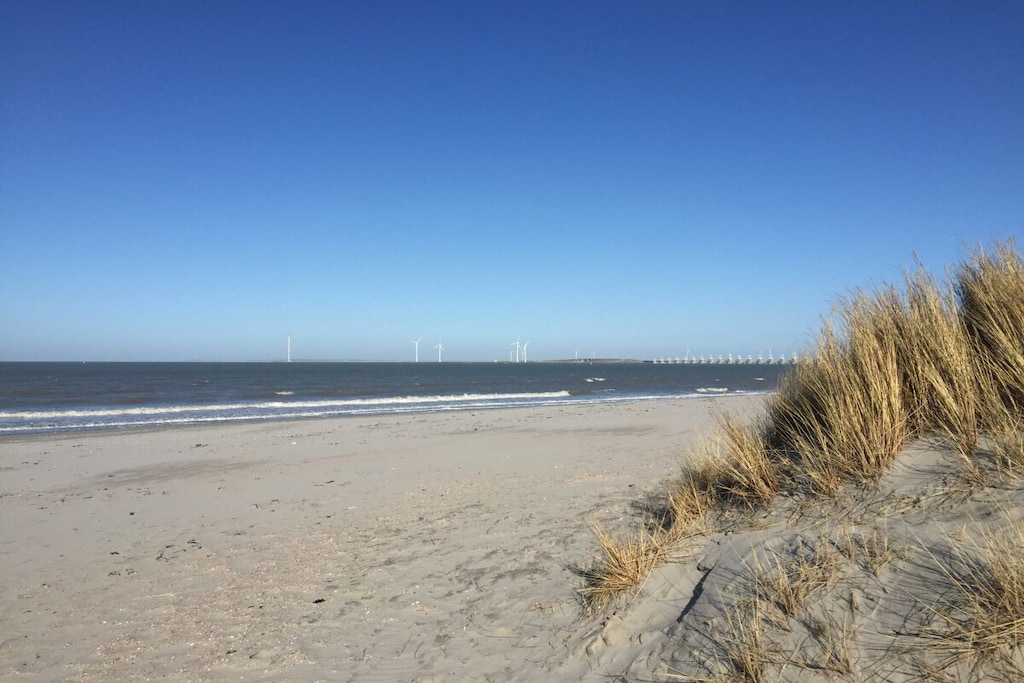 44399 - Niet-getagd