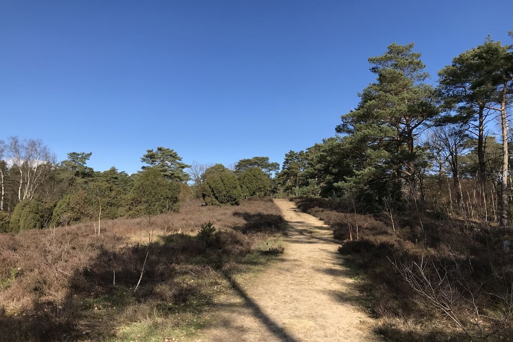 241545 - Niet-getagd