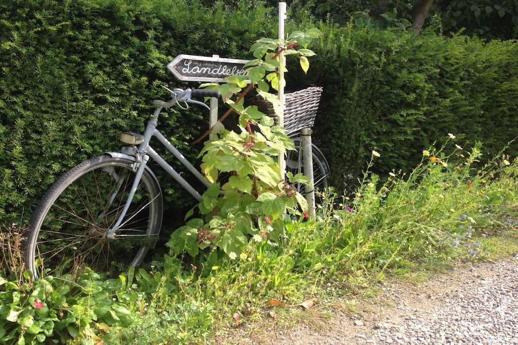 137787 - Niet-getagd