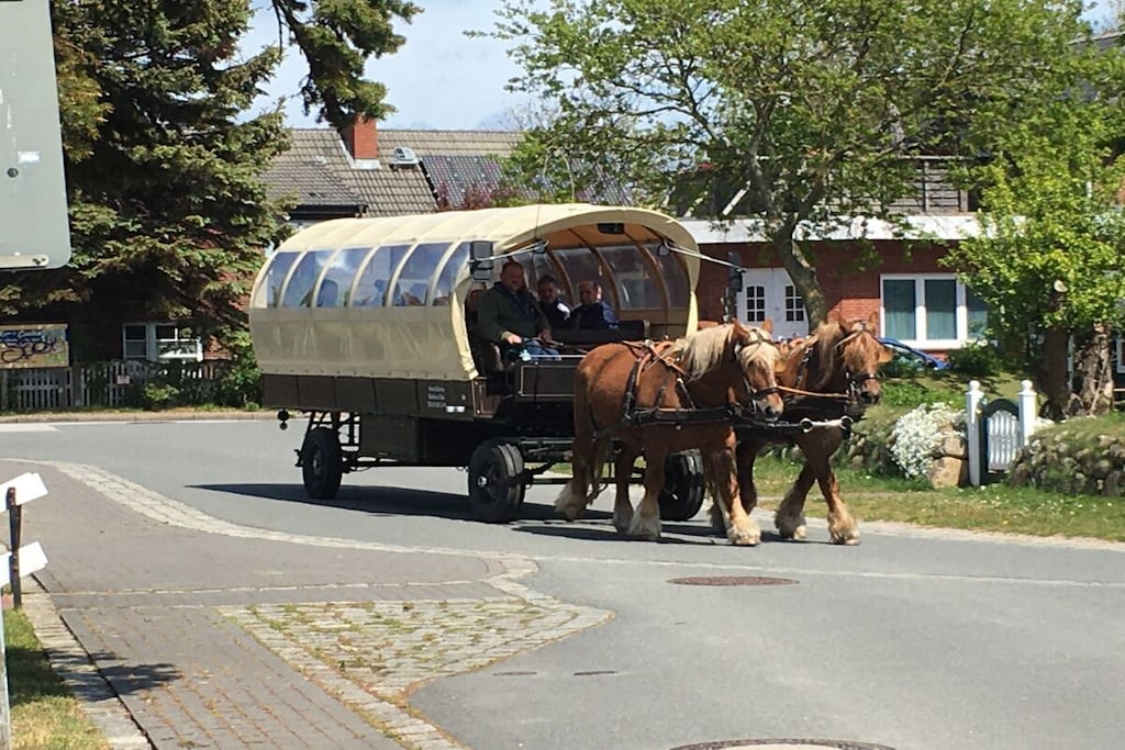 81403 - Niet-getagd