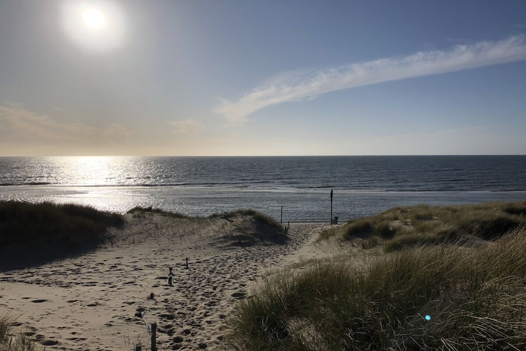 81403 - Niet-getagd