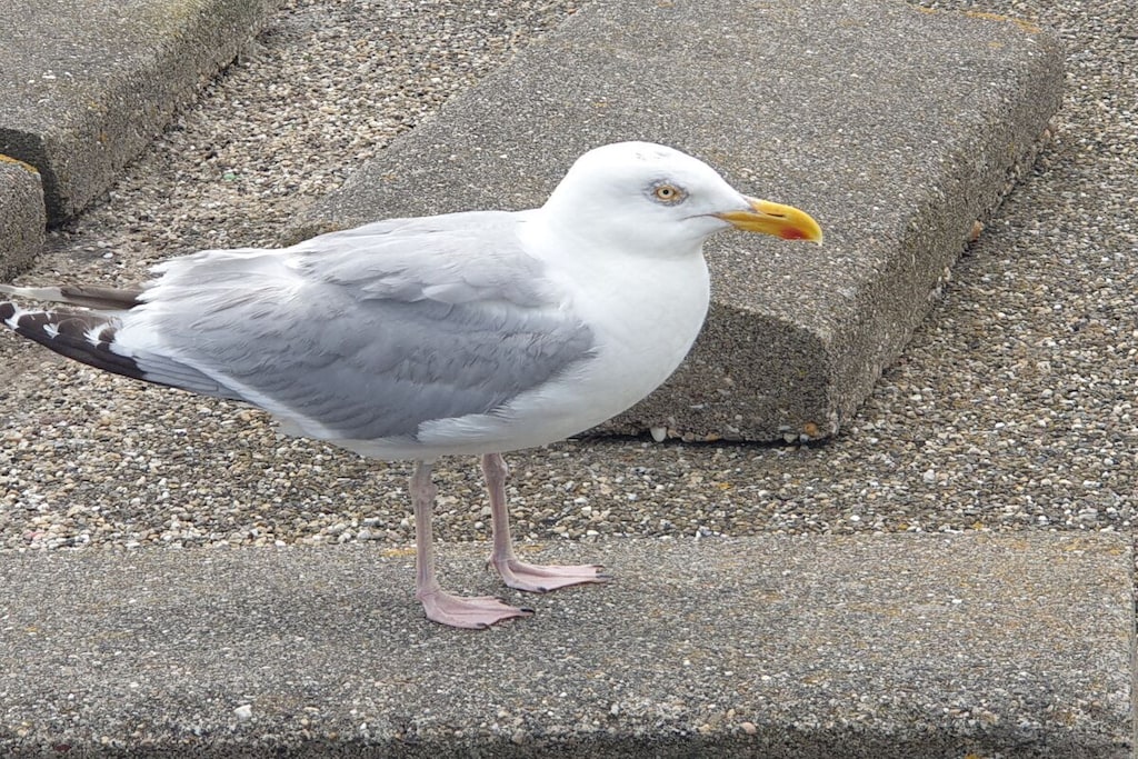 625095 - Niet-getagd