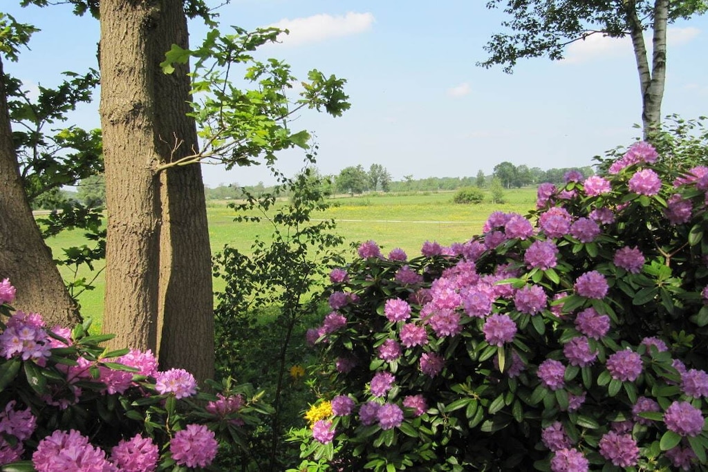 33127 - Niet-getagd