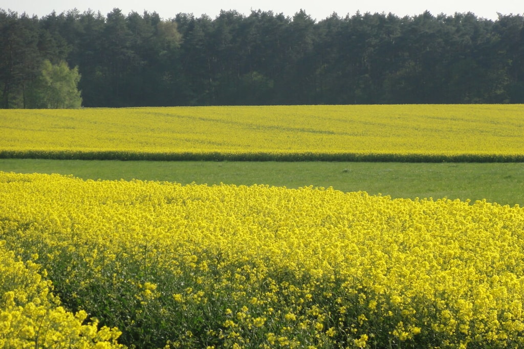 536243 - Niet-getagd