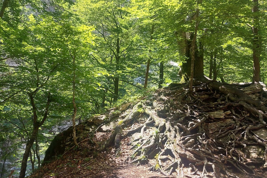 68749 - Non tagué