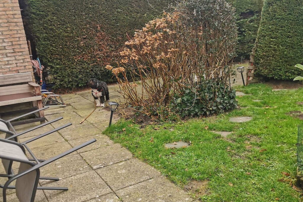704079 - Niet-getagd