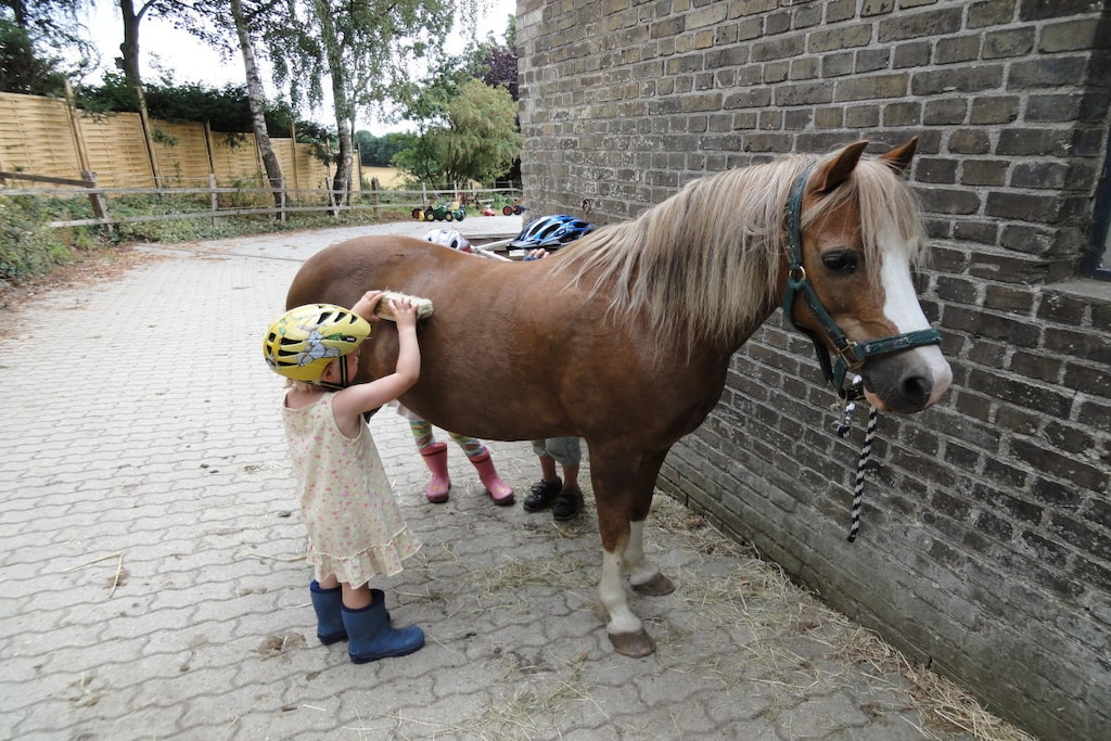 42925 - Niet-getagd