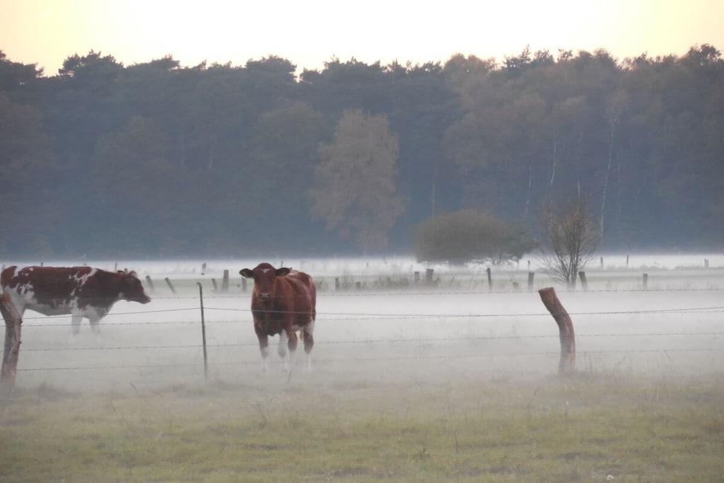277660 - Niet-getagd