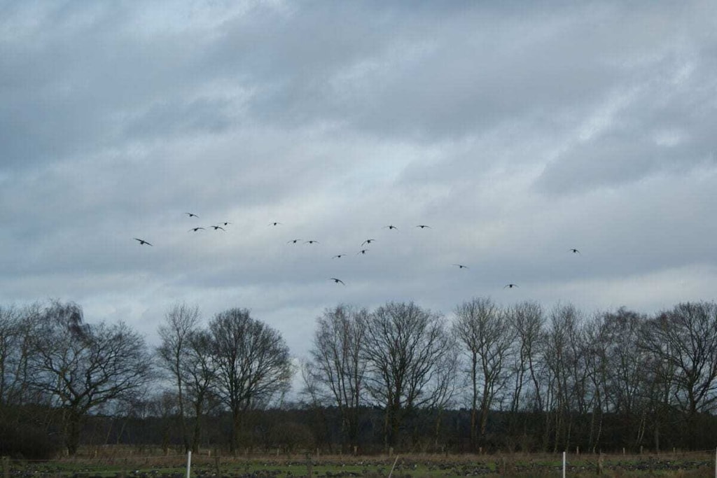 277660 - Niet-getagd