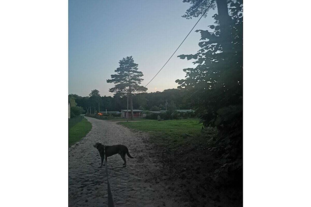 466993 - Niet-getagd