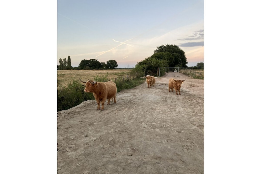 715175 - Niet-getagd