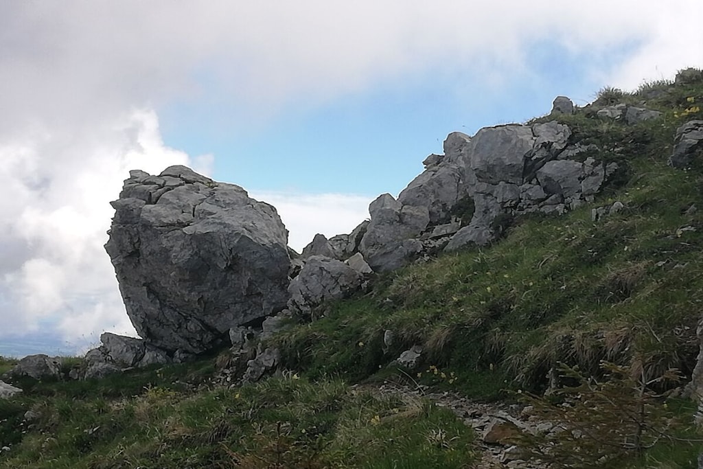 277693 - Non tagué