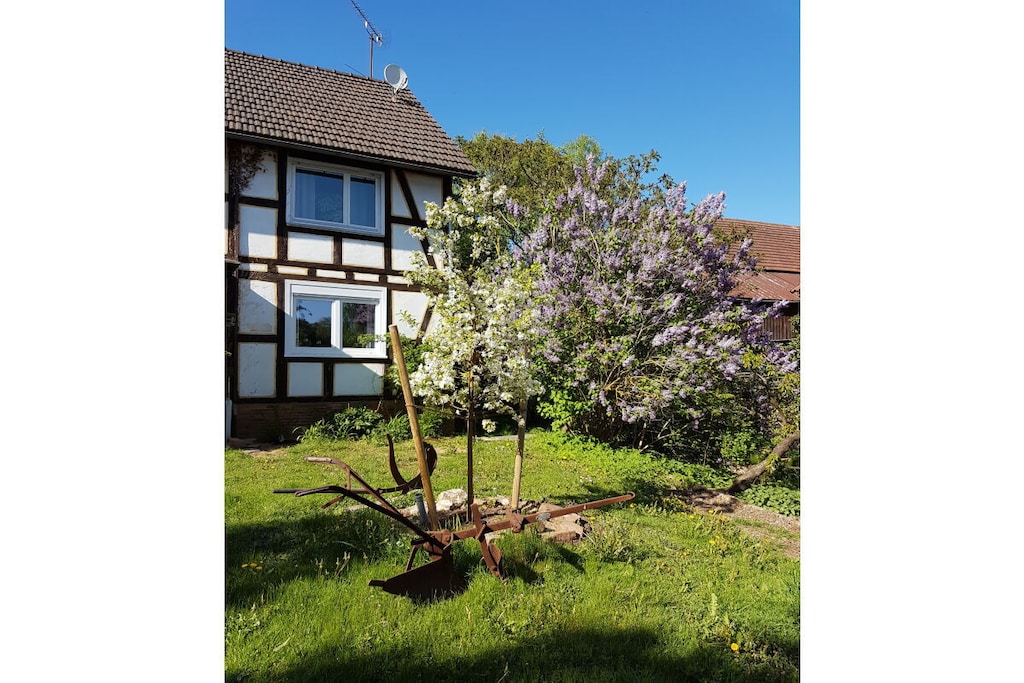 376335 - Niet-getagd