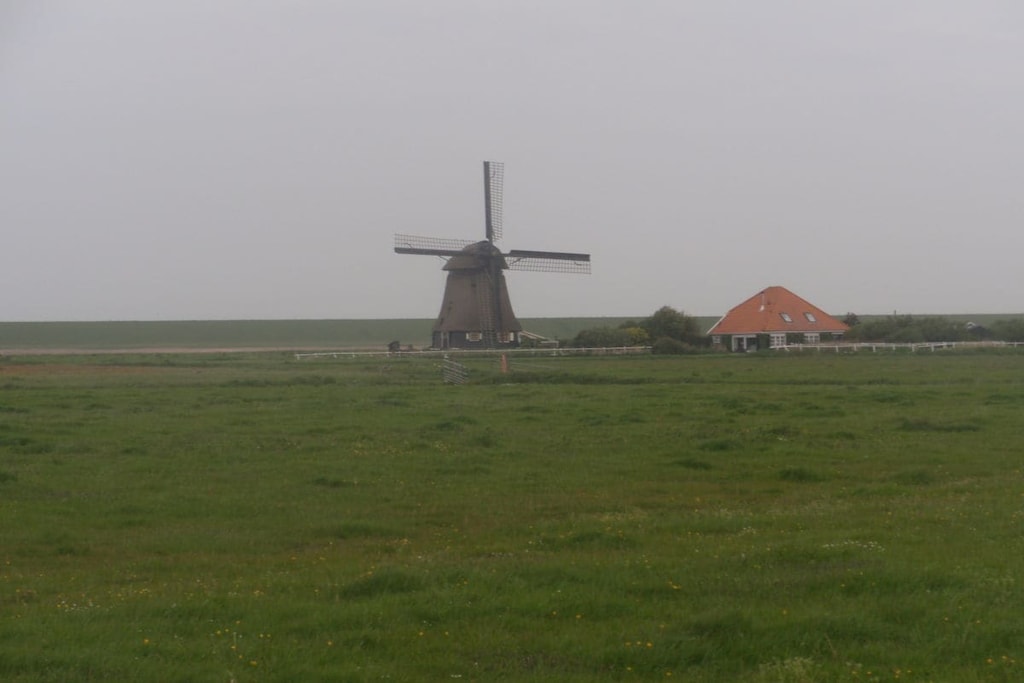 137905 - Niet-getagd