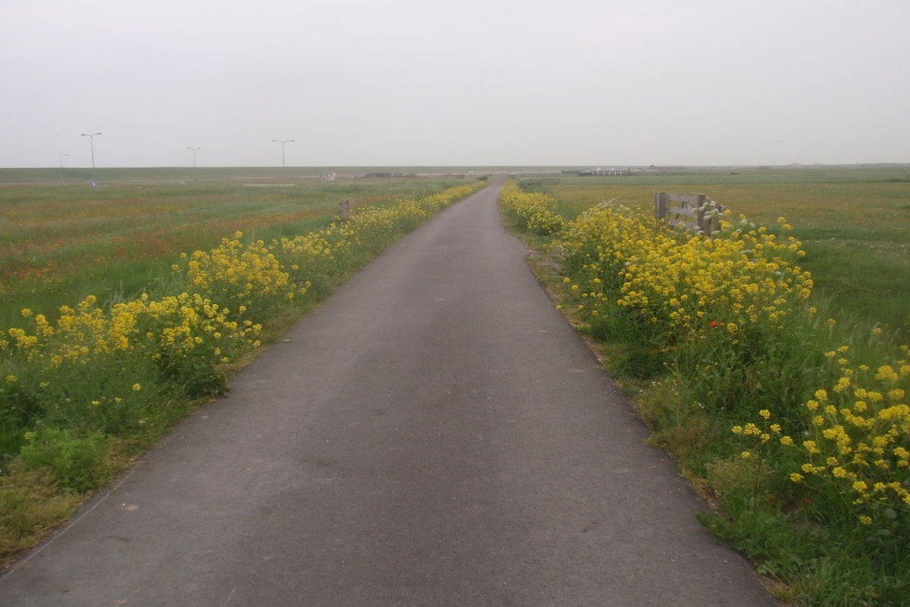 137905 - Niet-getagd