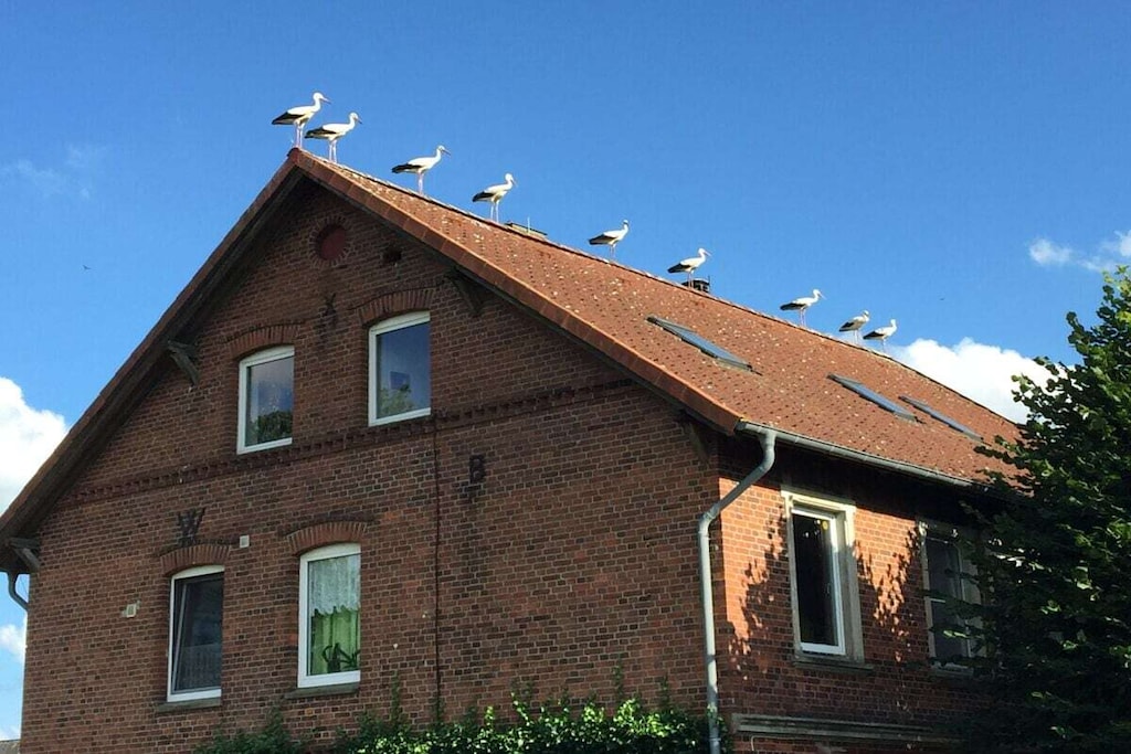 468037 - Niet-getagd