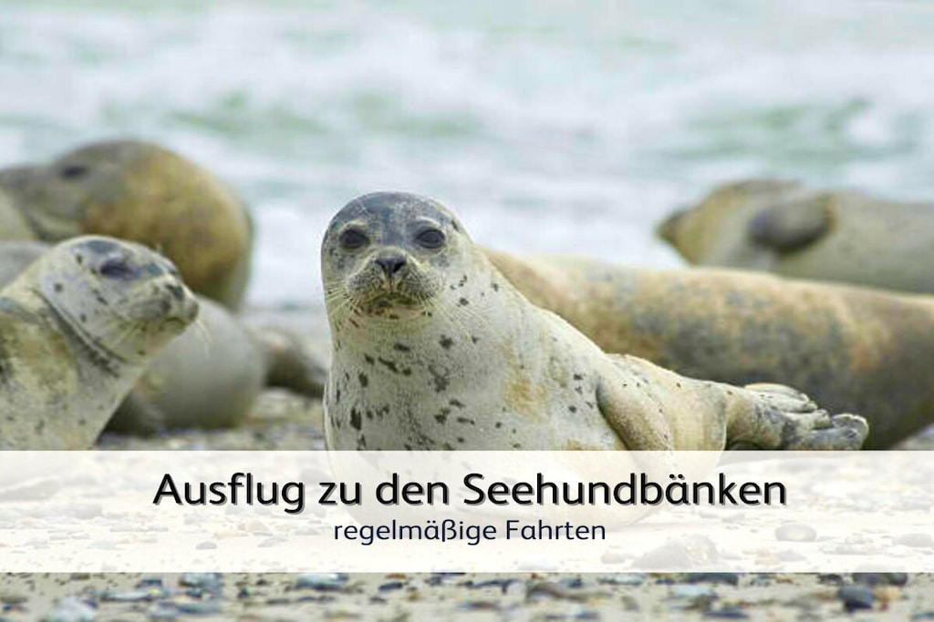 440427 - Niet-getagd