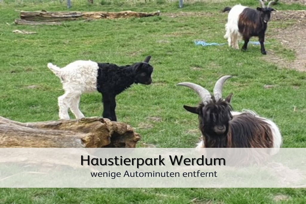440427 - Niet-getagd