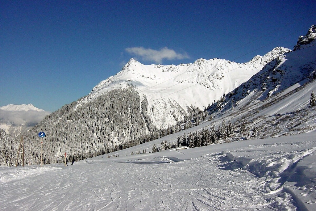 18133 - Non tagué