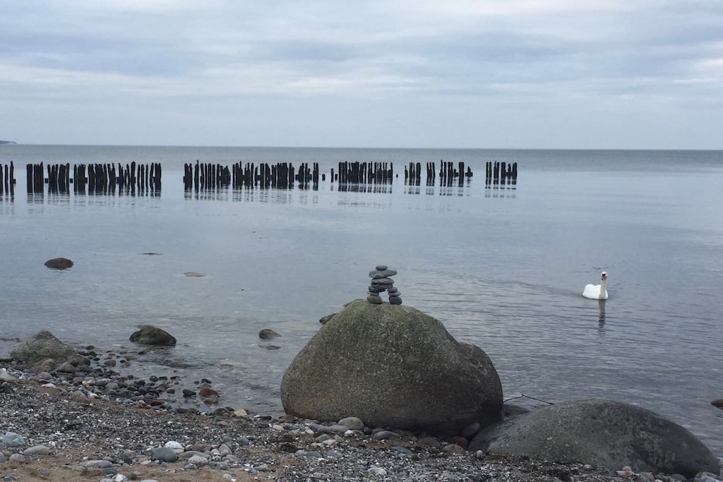 274079 - Niet-getagd