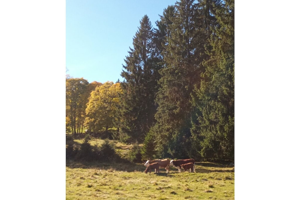 300411 - Nicht zugeordnet