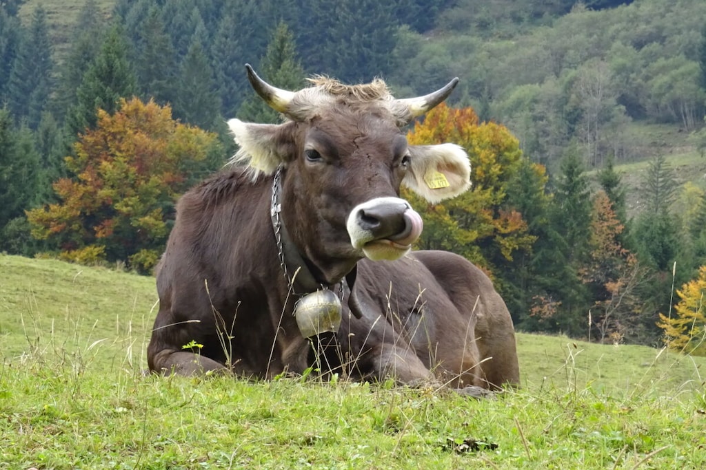 67449 - Niet-getagd