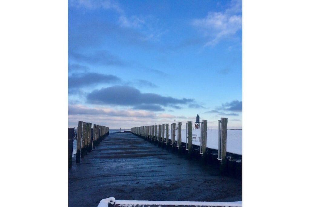 241670 - Non tagué