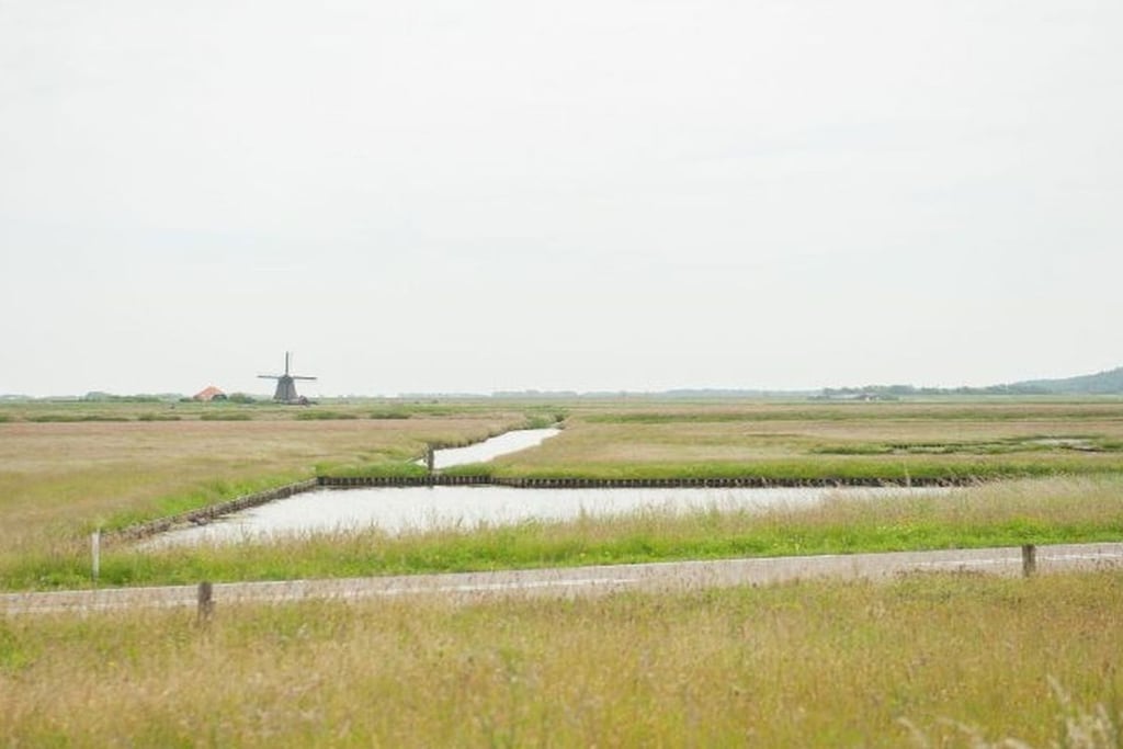 140591 - Niet-getagd