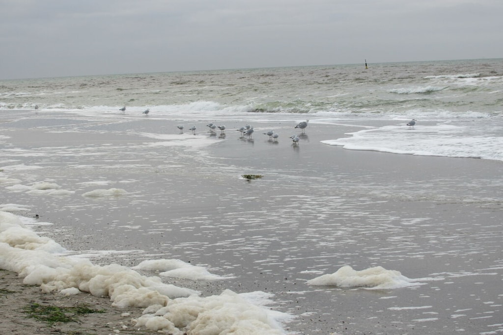 148545 - Niet-getagd