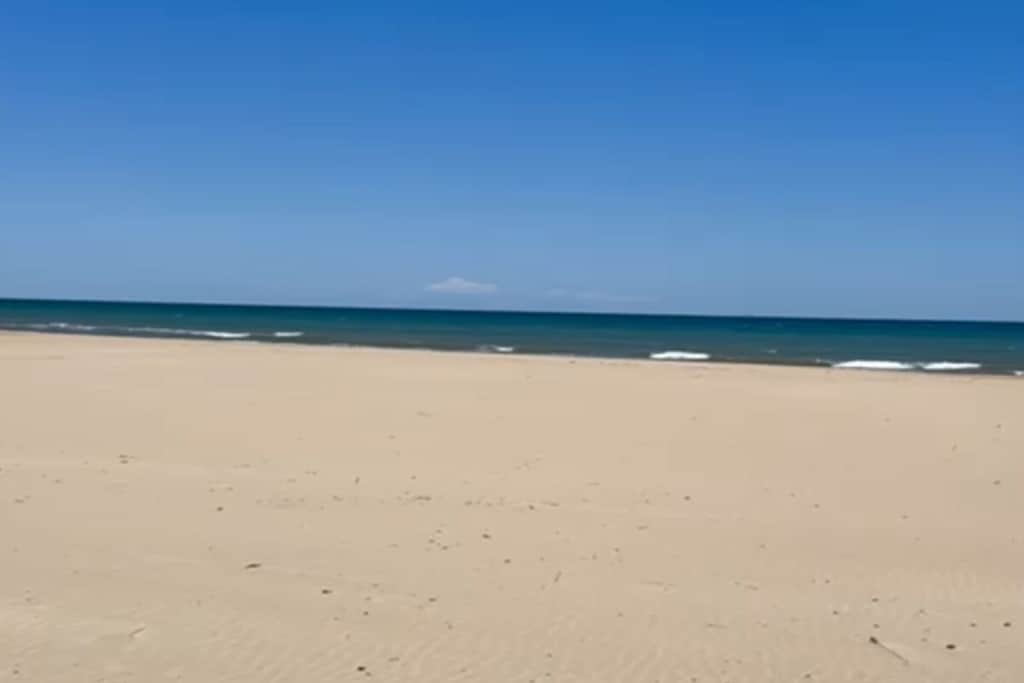 633719 - Non tagué