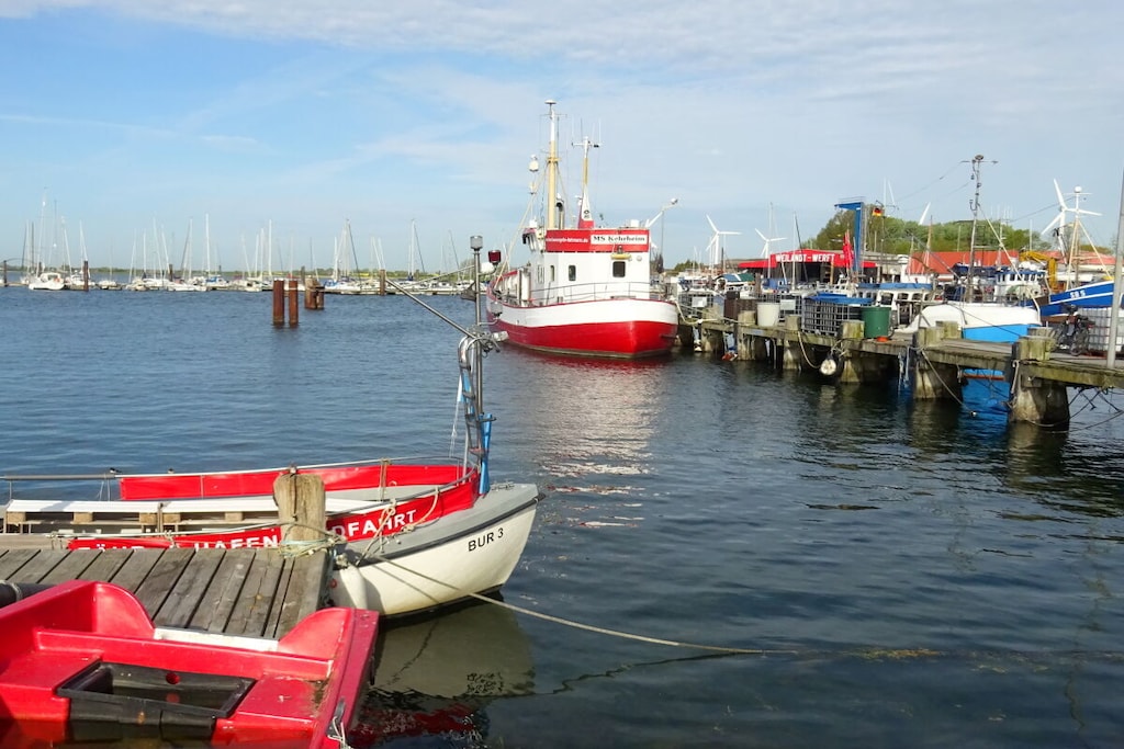 67447 - Niet-getagd