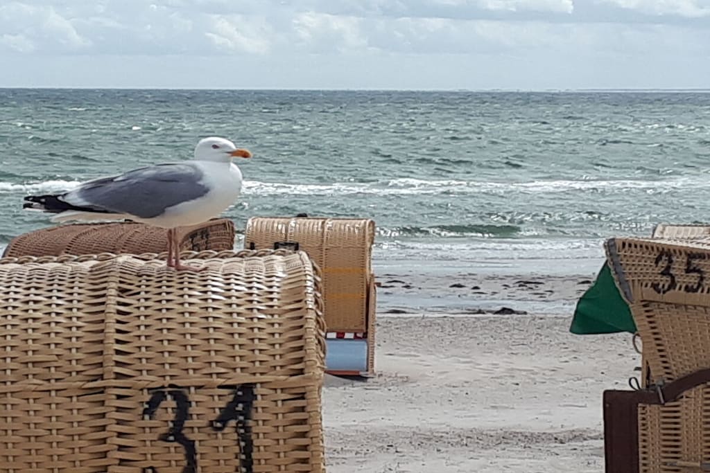 67447 - Niet-getagd