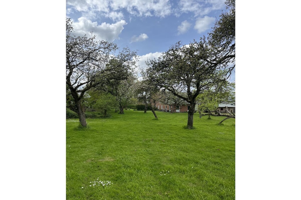 540873 - Niet-getagd