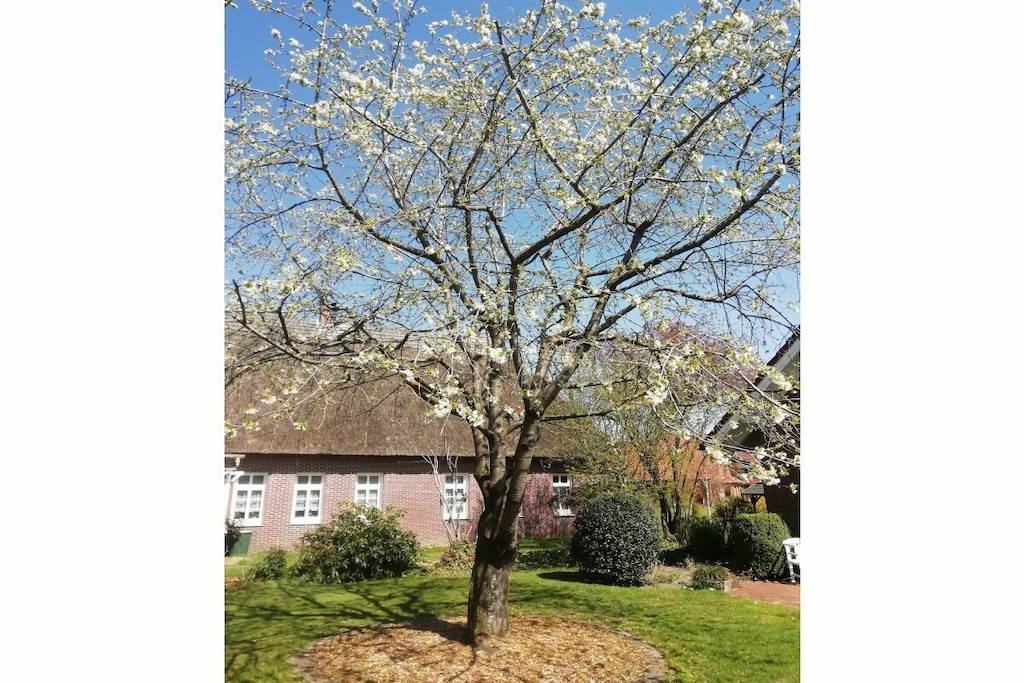 464919 - Niet-getagd