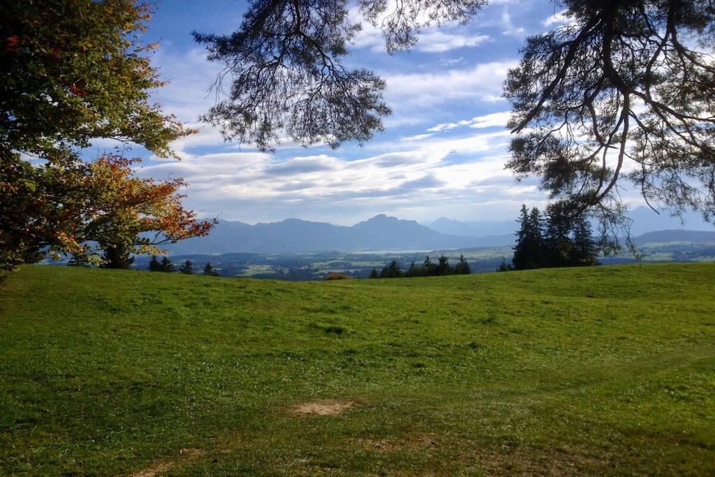 354751 - Nicht zugeordnet