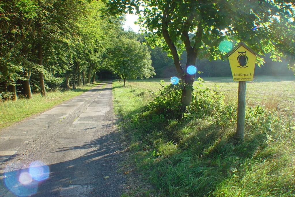 494667 - Non tagué