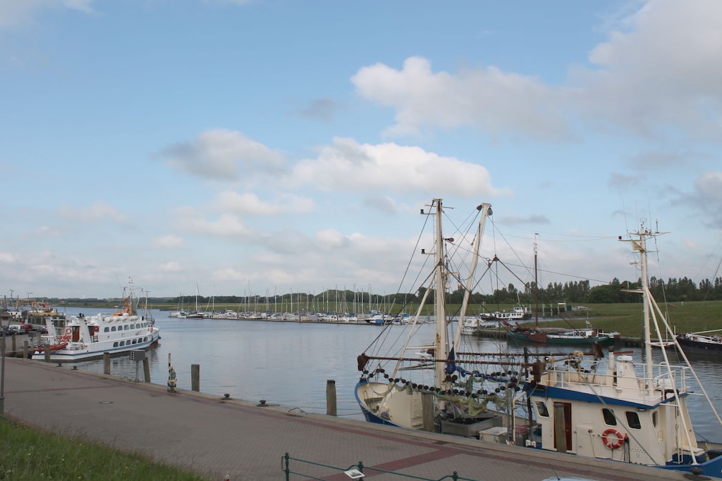 49223 - Niet-getagd