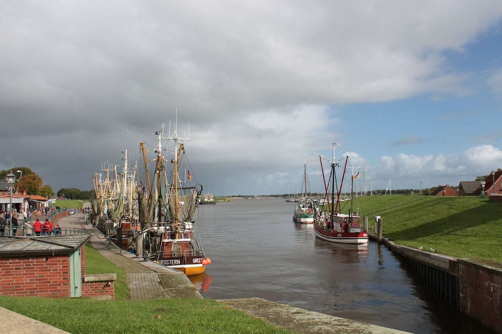 49223 - Niet-getagd