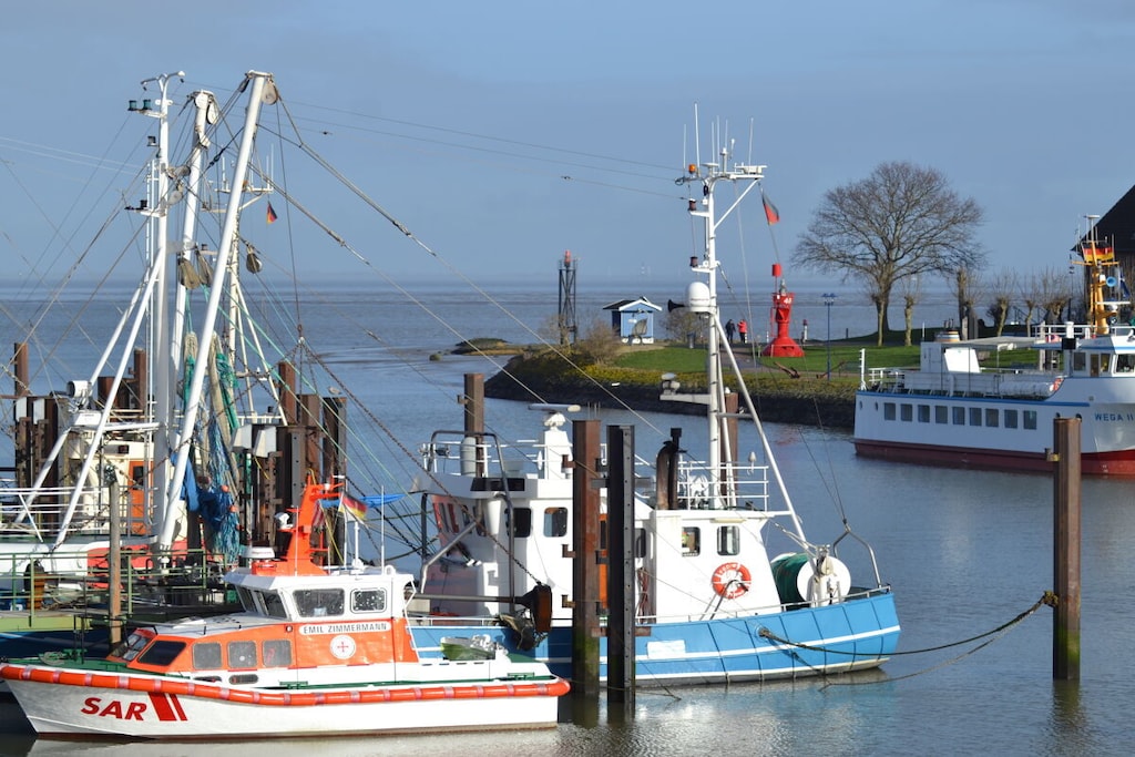 226792 - Niet-getagd