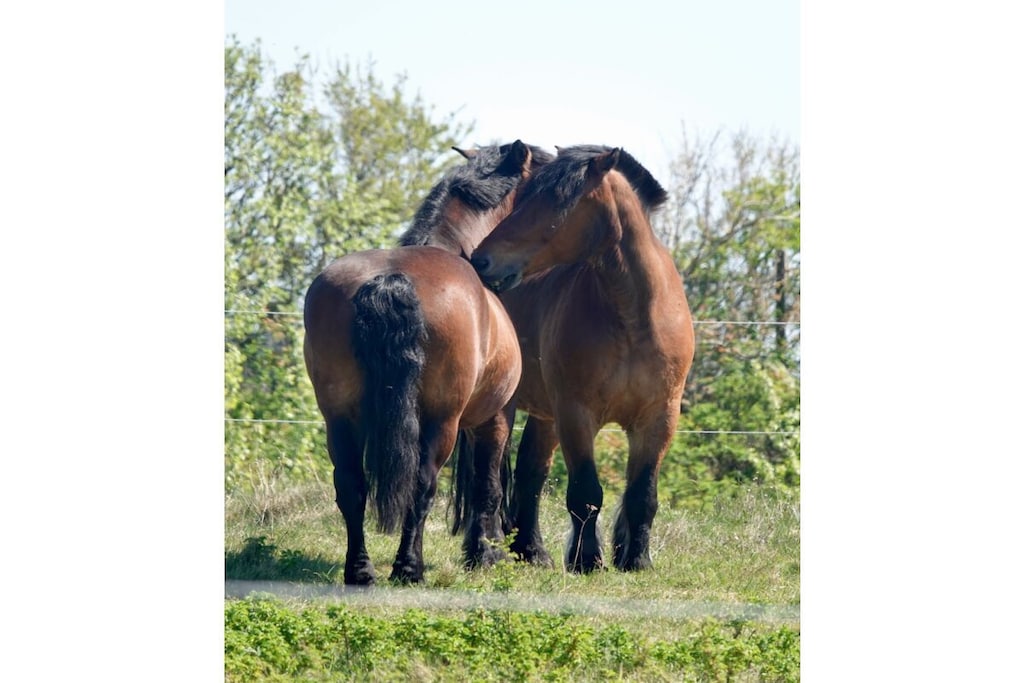 138484 - Niet-getagd