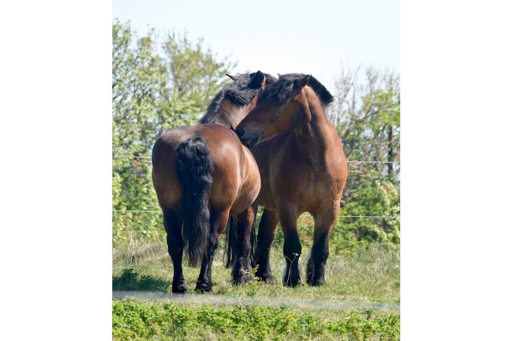 138483 - Niet-getagd