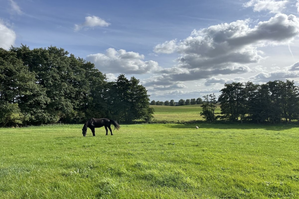 136674 - Niet-getagd