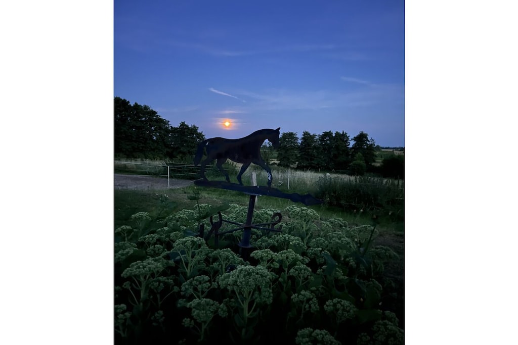 136674 - Niet-getagd