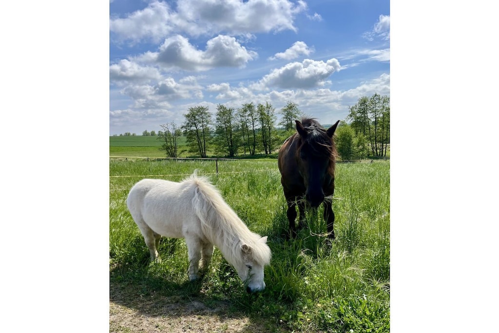 136674 - Niet-getagd