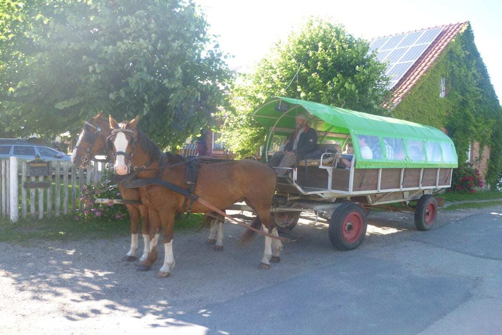 113743 - Niet-getagd