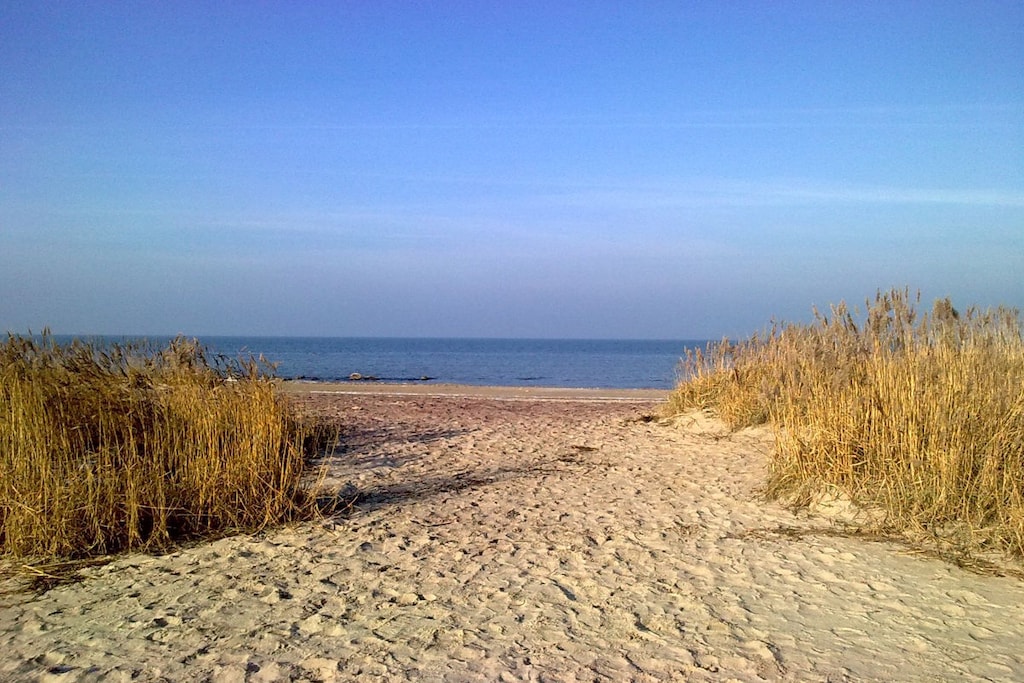 37448 - Niet-getagd